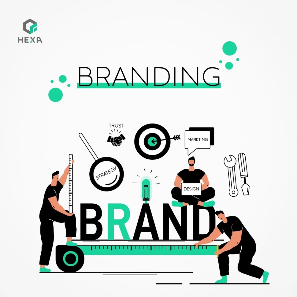 About the Brand
